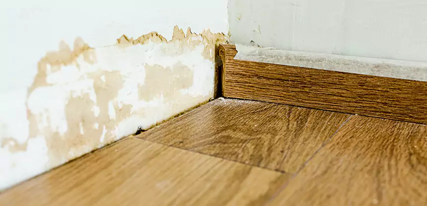 Professional Fix Water Damaged Wood Services in Pine Lake, GA